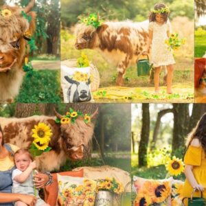 Child with a fluffy highland cow and big sunflowers
