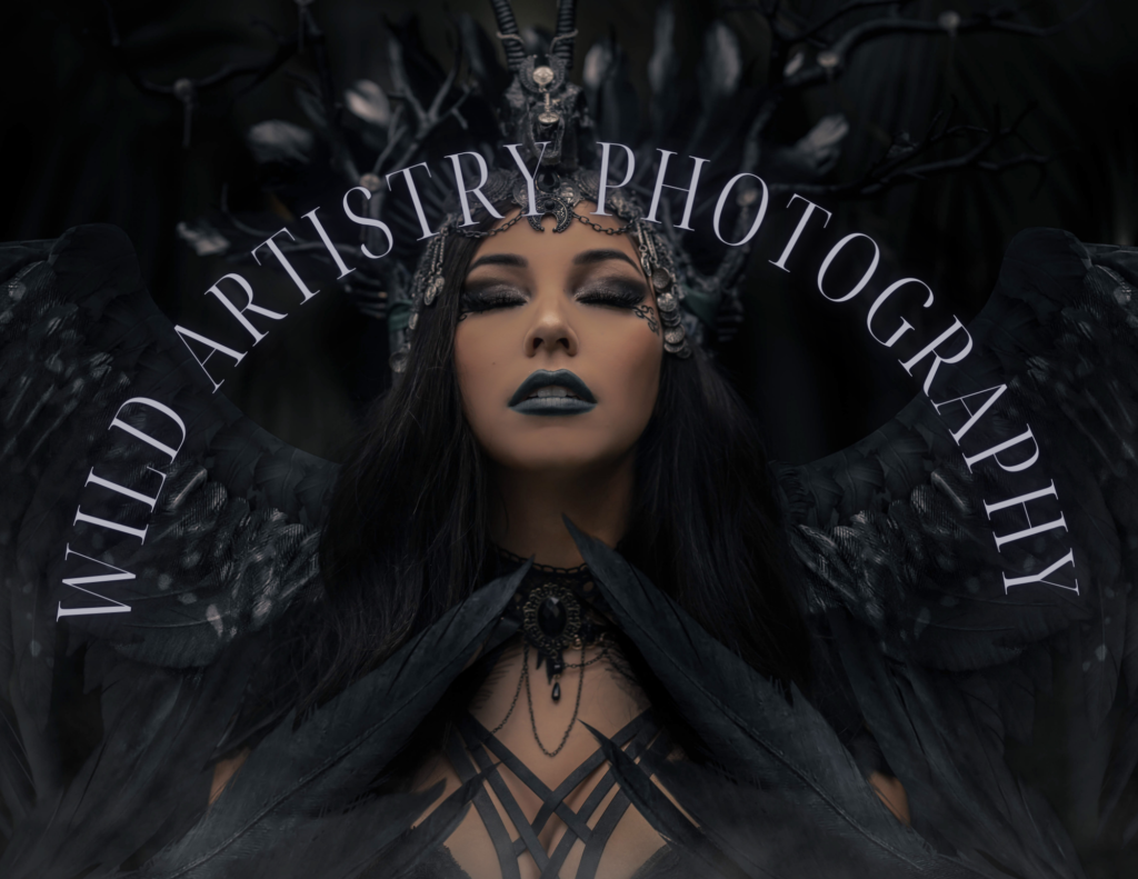 Test – Wild Artistry Photography | Official Site